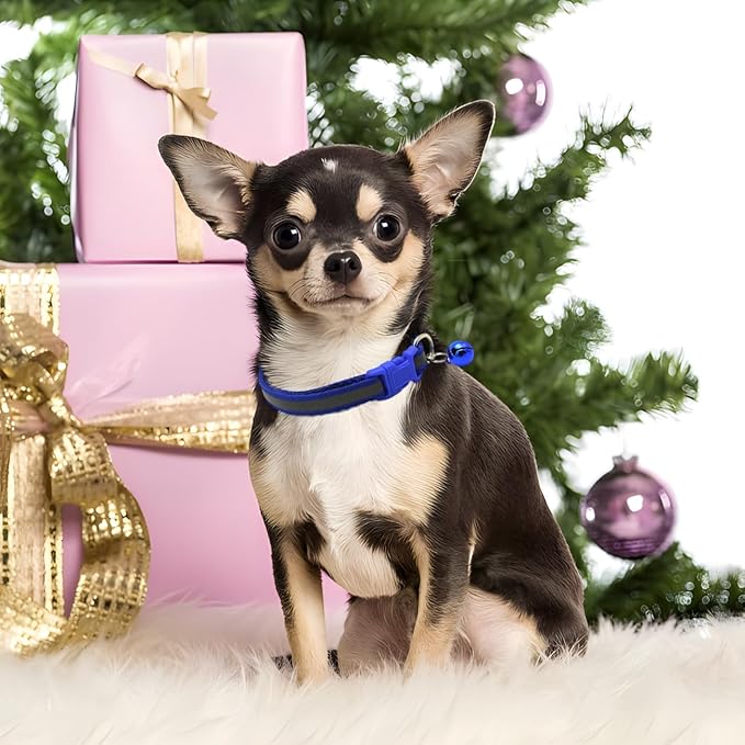 Neon Green XS Dog Collar with Bell Leash Set, Soft Reflective Cat Collars Adjustable Buckle for XXS Extra Small Medium Tiny Female Male Boys Girls Pets Puppy Kitten Teacup Yorkie X-Small