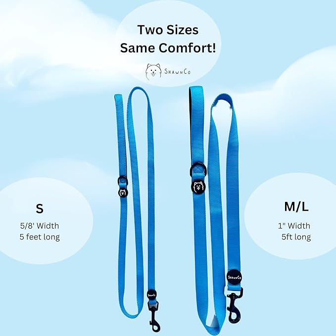 ShawnCo Dream Walk Dog Leash- Premium, Nylon Pet Leash with Soft Neoprene Handle for Small, Medium and Large Dogs (Rose Gold, Small)