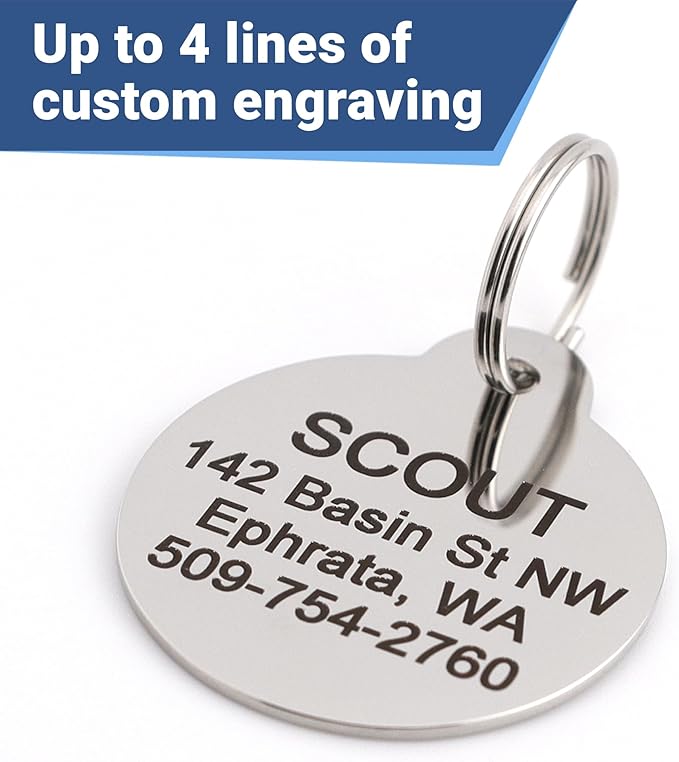 GoTags Paw Print Round Stainless Steel Pet Tag for Dogs and Cats, Personalized with 4 Lines of Custom Engraved ID Name and Number, in Stainless Steel and 15 Colors Small and Large, Glitter Green