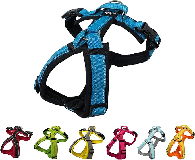 [白山:Hakusan] Zero Dog Harness Basic Type, Safe - No chocking/Hard to Disconnect, Great fit - Easy Put on and Off/Adjustable, Reflector, XS - Small & Medium Dog, Two-Tone Black×Turquoise