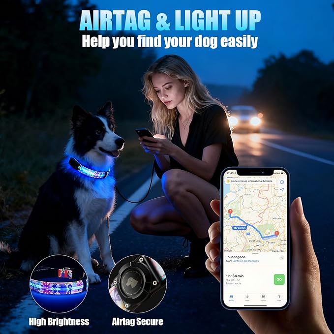 LED AirTag Dog Collar - Brightest Light Up Dog Collars - IP68 Waterproof Air Tag Dog Collar Holder - 1,600 Feet of High Visibility - Magnetic Charging - Dog Lights for Night Walking (Flower, L)