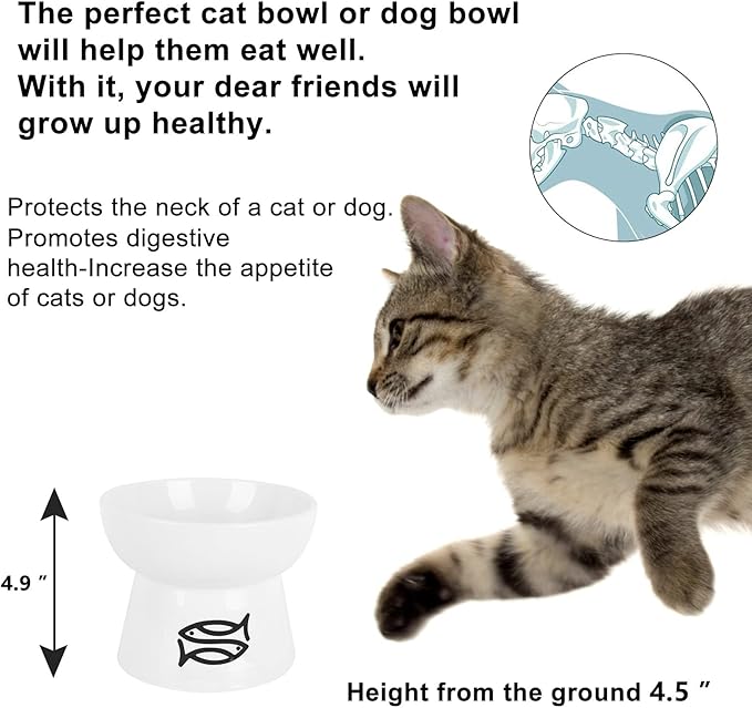 Vencer Cat/Small Dogs Slow Feeding Bowls,Raised Cat Food/Water Bowl (High-Capacity) Elevated Cat Dog Dish,Pet Bowls for Cats or Small Dogs,VCB-002
