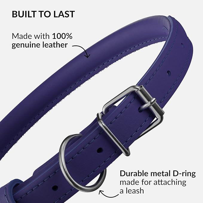 CollarDirect Rolled Leather Dog Collar, Soft Padded Round Puppy Collar, Handmade Genuine Leather Collar Dog Small Large Cat Collars 13 Colors (11-14 Inch, Purple Smooth)