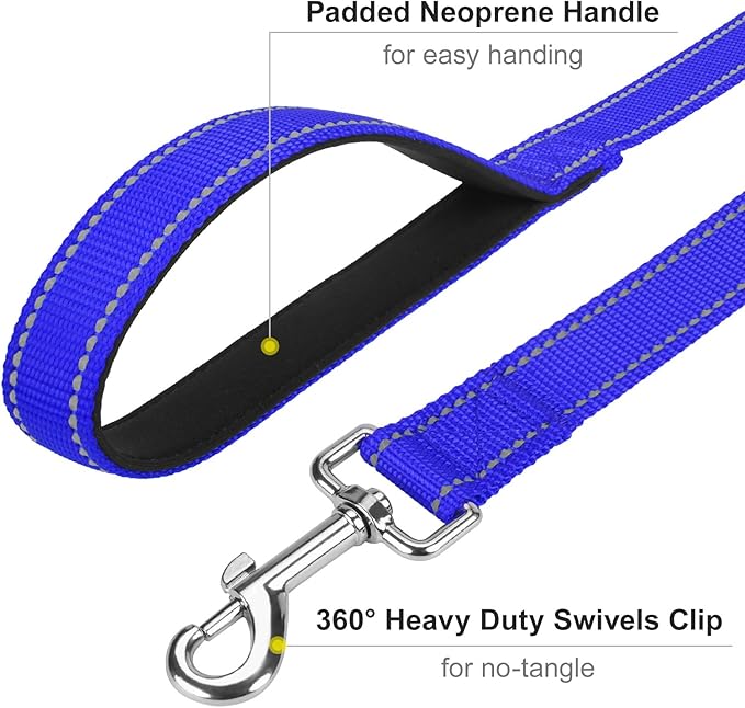 Erbine 6FT Reflective Nylon Dog Leash with Soft Padded Handle for Walking, Running and Training, Supports Small Medium and Large Dogs (Royal Blue, 3/4Inch Wide)