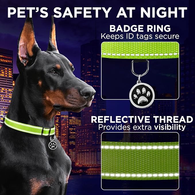 TECEUM Reflective Dog Collar – Acid Green – L – Extra Soft Padding – Basic Nylon Pet Collar – Quick Release Buckle – Fits Small, Medium and Large Dogs, Puppies, Cats – ESA & Service Dog Options