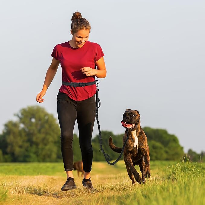 Mile High Life Hands Free Waist Leash for Dog Running Training and Jogging, Adjustable Belt with Double Handle, Reflective Bungee for Medium Large Dogs (Black, 7FT)