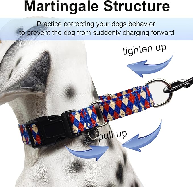 Reflective Martingale Dog Collar with Buckle Soft Nylon Geometric Patterns Pet Collars for Small Dogs (Argyle, S)