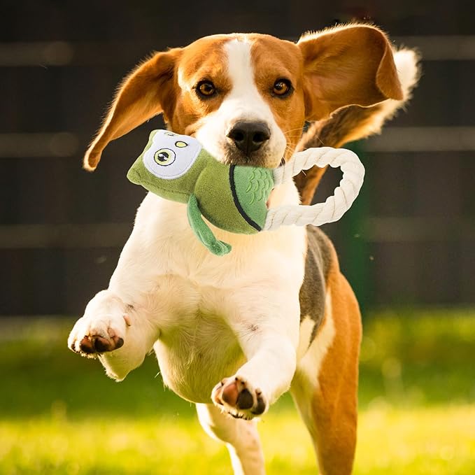 SEWACC Interactive Cotton Rope Owl Dog for Chewing and Playing, Plush Stuffed Pet for Dental Health, Sturdy Green Plush Suitable for Puppies and Dogs