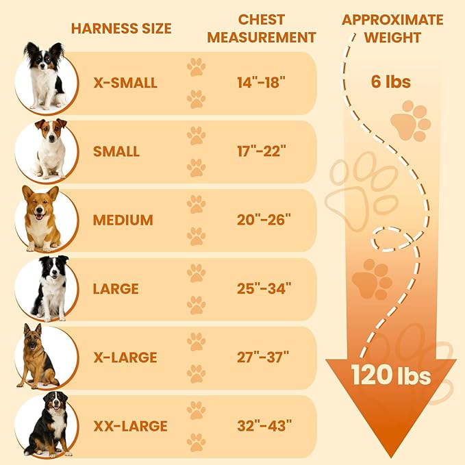 Bark Appeal Gray No-Pull Dog Harness for XS to Small Sized Pets – Adjustable, Reflective Vest with 3 Leash Clips for Added Control, Easy Walks & Training – S
