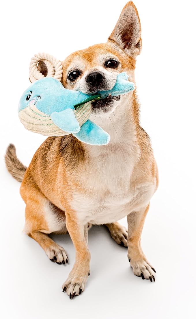GRRREEN Dog Toys | Plush Toy Whale Stuffed Animal for Dogs | Small Eco Friendly Toy - Easy to Clean and Made from Non Toxic Materials