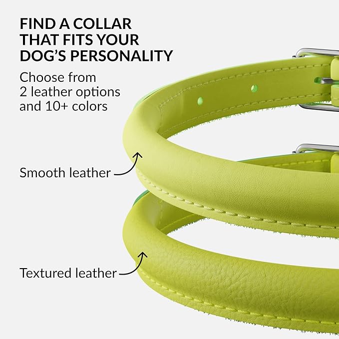 CollarDirect Rolled Leather Dog Collar, Soft Padded Round Puppy Collar, Handmade Genuine Leather Collar Dog Small Large Cat Collars 13 Colors (8-11 Inch, Lime Green Smooth)