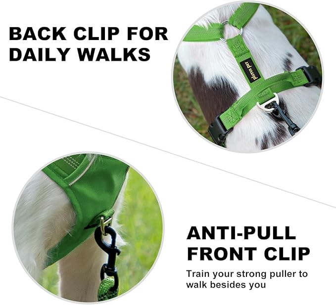 Plutus Pet No Pull Dog Harness, Reflective Adjustable Dog Vest Harness with Handle, Escape Proof, Soft Padded for Small Medium Large Dogs (Green, M)
