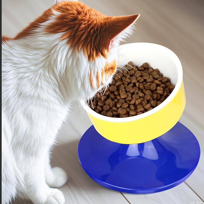 Elevated Cat Bowls, Adjustable Height & Angle, Anti Vomiting, Non-Slip, Easy to Clean, Cat Dishes for Food & Water, No Spill