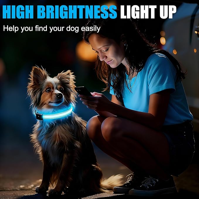 LED Dog Collar Rechargeable- Brightest Light Up Dog Collars - 1,600 Feet of High Visibility - Magnetic Charging - Glow in Dark Dog Lights for Night Walking, Black L