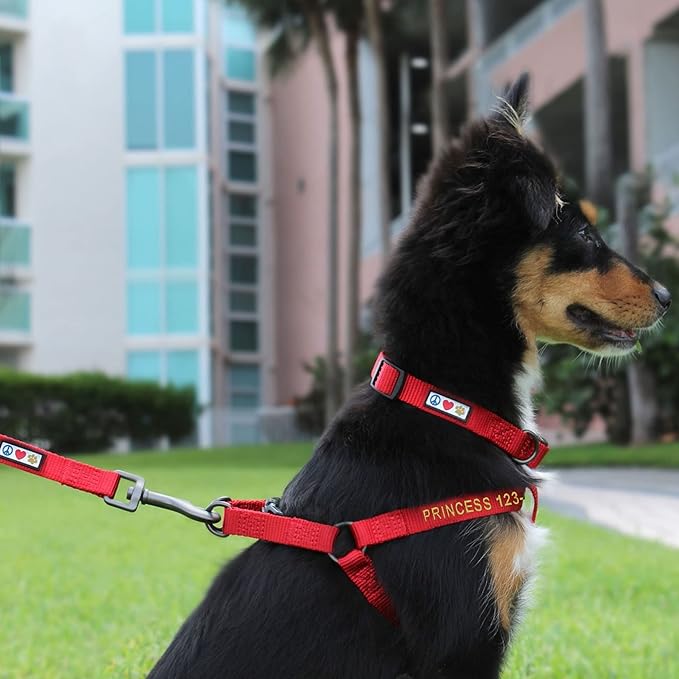 Pawtitas Personalized Dog & Puppy Harness Extra Small Marsala Custom ID Tag Adjustable No Pull Vest