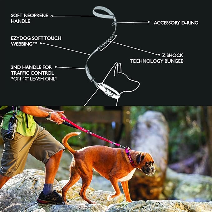 EzyDog Zero Shock Dog Leash - Shock Absorbing Bungee Leash for Dogs That Pull or Excite - Dual Handle and Reflective for Large, Medium, or Small Dogs (25-inch, Black)