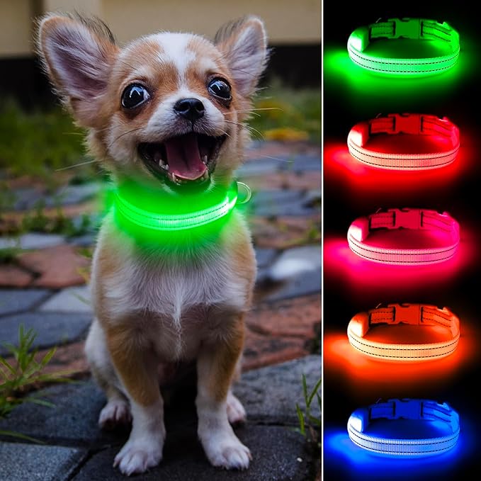 DOMIGLOW Light Up Collar for Small Dogs Cats - Reflective LED Dog Collar Glow in The Dark, Safety Pet Collar Lights for Nighttime Walking (Green)