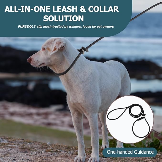 Slip Lead Dog Leash – Strong Nylon Training Rope with 2 Spring-Loaded Adjustable Stoppers – 5/16" x 5ft -No Pull Heavy Duty Leash for Small Medium Large Dogs(Khaki, 5 FT with 2 stoppers)