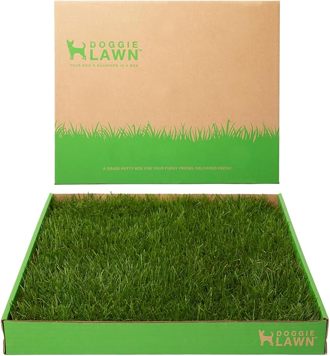 DoggieLawn Real Grass Puppy Pee Pads - Potty Training Pads for Dogs & Puppies - Indoor Grass Dog Potty for Apartments & Bad Weather - Natural Living Grass - XLarge 24 x 48 Inches - Made in USA