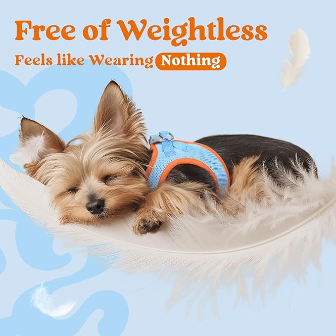 rabbitgoo Small Dog Harness, Step-in Soft Mesh Puppy Vest with Safety Buckle, Breathable Reflective Pet Harness for Large Dogs, Blue & Orange XXL