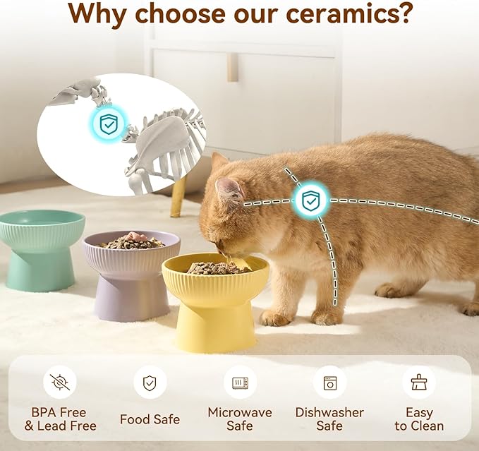 Ceramic Elevated Cat Bowls-Water Bowl, 15° Tilted Design, Anti-Vomiting & Spine Protection, Prevent Whisker Fatigue for Kittens to Adult Cats and Small Dogs (White-15° Cat Bowls-2)