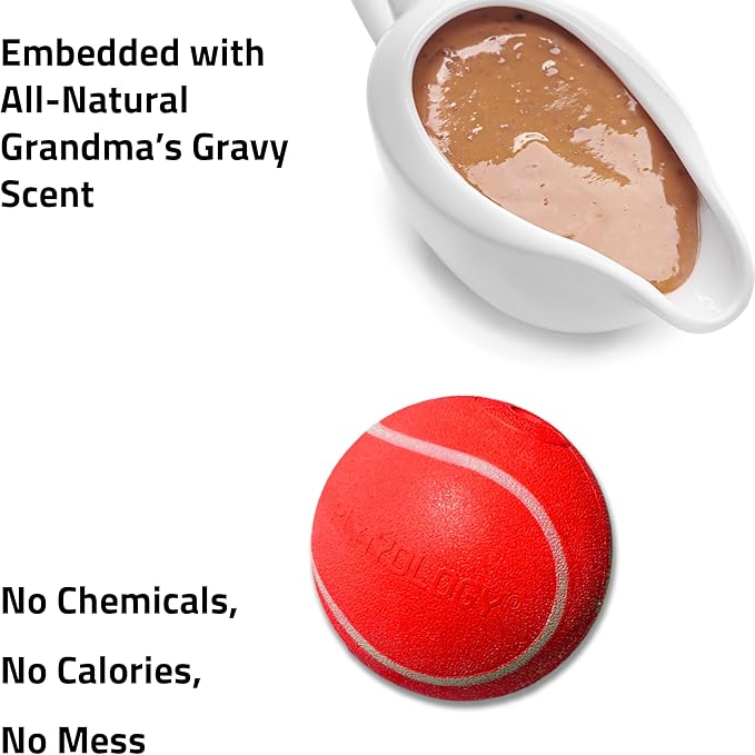 Playology Dog Toys | Squeaky Chew Ball - Bouncy Durable Floating Fetch Ball for Dogs | Jumbo Grandma's Gravy Scented Toy - Easy to Clean and Made from Non Toxic Materials