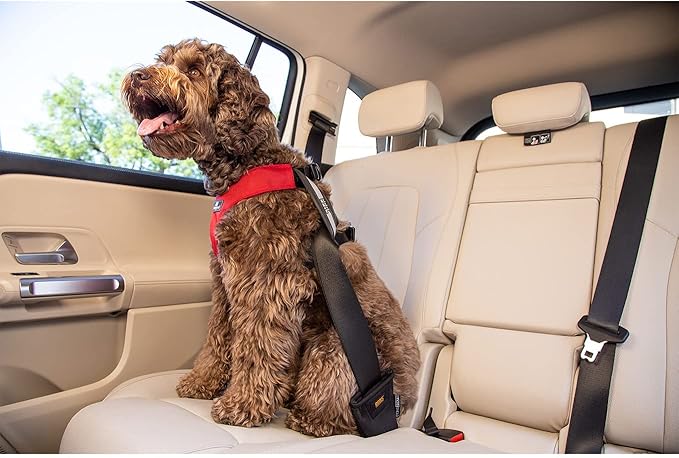 Clickit Sport Plus - Crash-Tested and Safety Certified Car Seat Belt Harness for Dogs (Extra Large, Charcoal Grey)
