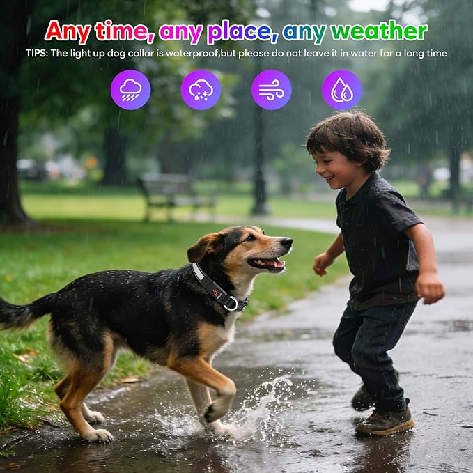 Weesiber Light Up Dog Collar, USB Rechargeable LED Dog Collar Glow in The Dark, Adjustable Reflective Waterproof Dog Collar Light for Night Walking (RGB, L)