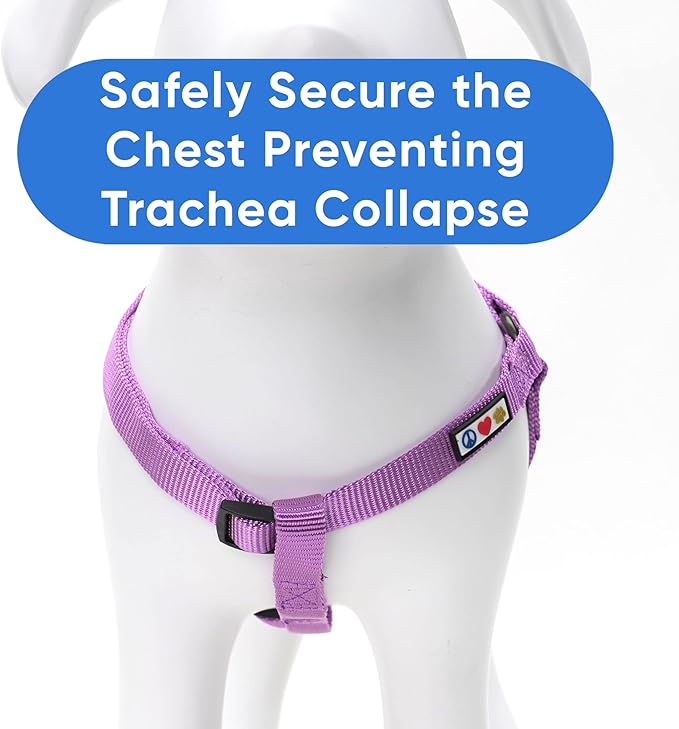 Pawtitas Solid Step-in Dog Harness – Adjustable No-Pull Vest for Puppies to Seniors, Safe & Comfortable XS Orchid