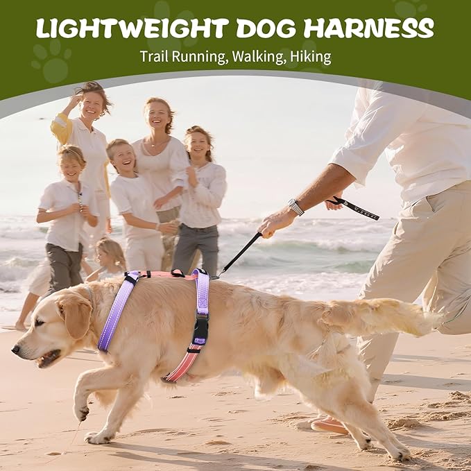 Dog Harness,Adjustable No Pull Dog Harness,Y-Shaped Design,Buckle-Neck Balance Harness with Reflective, Ideal for Dog Training Hiking, Easy Walk Harness,Durable High-Tensile Nylon Pink-L