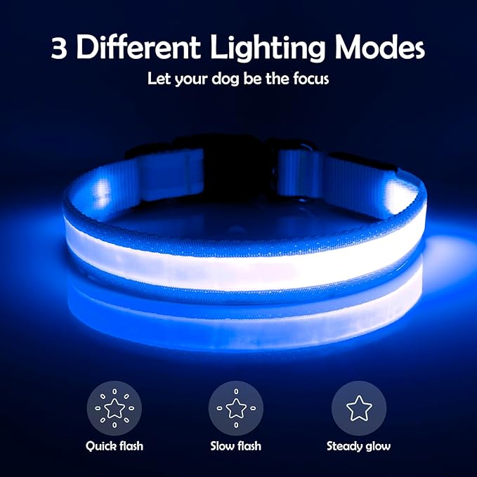 Vizpet LED Dog Collar, Light Up Dog Collar Adjustable USB Rechargeable Super Bright Safety Light Glowing Collars for Dogs(Medium,Blue)