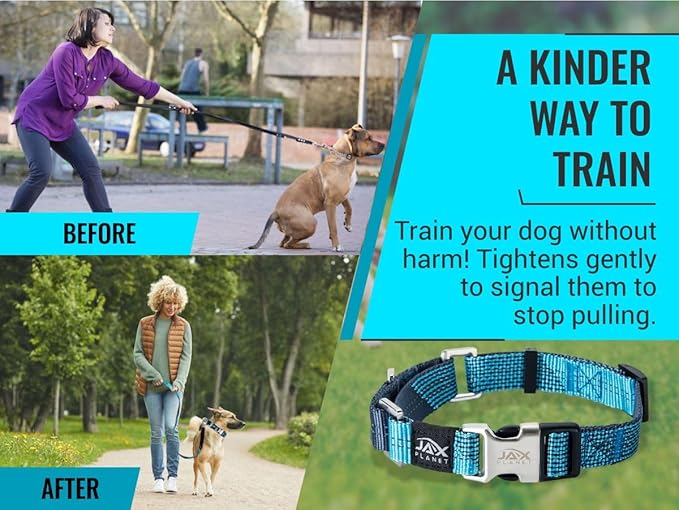 Blue Martingale Collar for Dogs - Heavy Duty Nylon Pet Collars for Escape-Free, No Pull Training & Walking with Alloy Metal Release Buckle & Reflective D Ring, One Time Adjustment, Safe & Secure, L