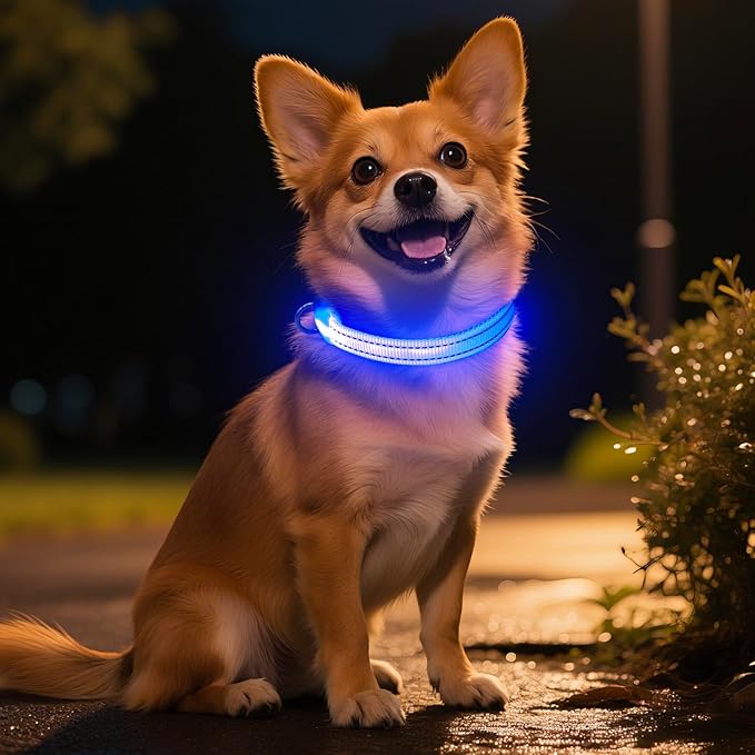 Light Up Dog Collar - Rechargeable Puppy Collar Glow in The Dark LED Dog Collar Lights for Small Dogs & Cats (X-Small, Blue)