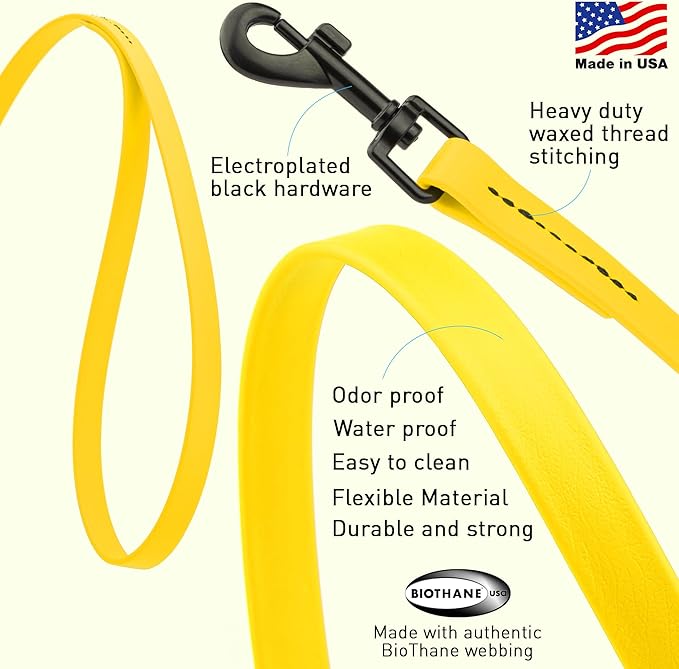 Dogline Biothane Waterproof 4ft Dog Leash Strong Coated Nylon Webbing with Black Hardware Odor-Proof Easy to Clean High Performance for Small or Large Dogs Made in USA 4ft Lead, Lemon Yellow
