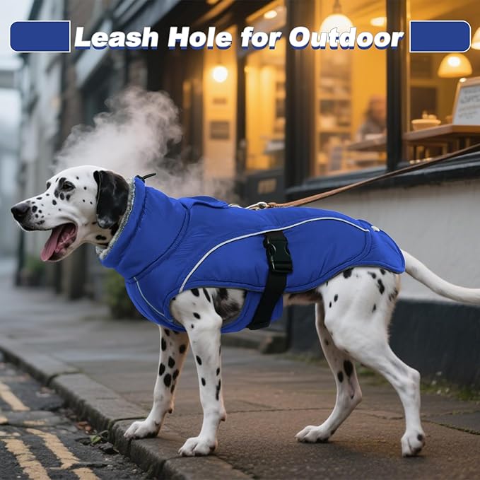 DENTRUN Winter Warm Dog Coat Reflective Jacket with Turtleneck for Cold Weather, Adjustable Buckle Windproof Water Repellent, Thick Snowsuit Fleece Vest for Small, Medium, Large Dogs, Blue, M