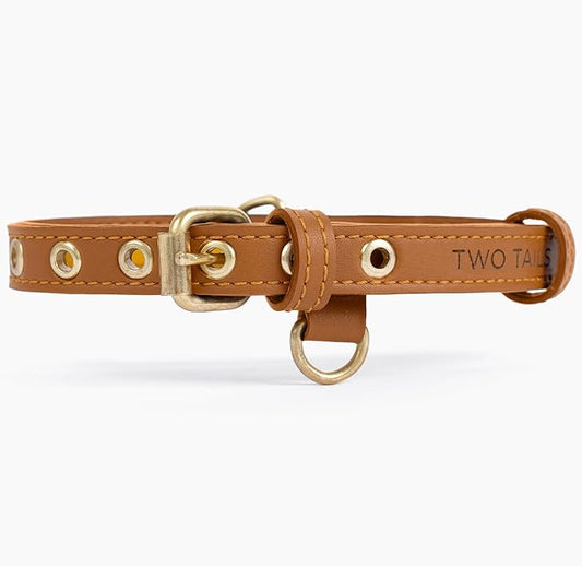 Two Tails Pet Company Cactus Vegan Leather Dog Collar, Adjustable Pet Collar with Gold Hardware and D Rings for Leash & ID Tag for Dogs and Puppies, Easy to Clean & Eco Friendly, Caramel, Size Medium
