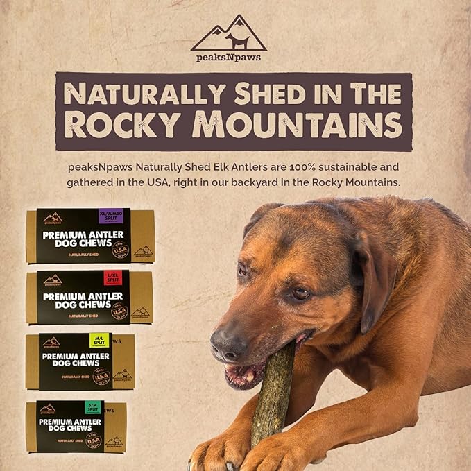 peaksNpaws Premium All-Natural Grade A Split Elk Antlers for Dogs – Naturally Shed in The Rocky Mountains – No Additives, No Preservatives - Healthy and Delicious Treat - Made in USA - M/L Split