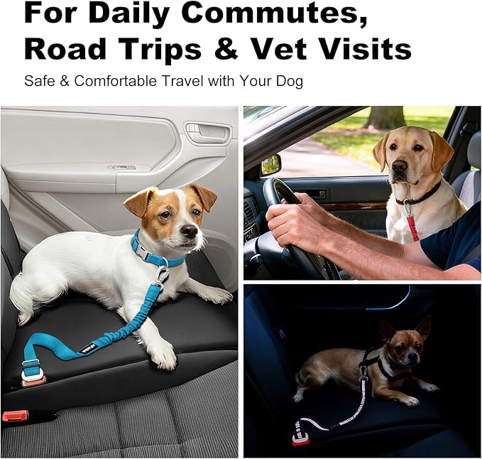 Dog Seat Belt for Car, Adjustable Dog Car Harness Seatbelt for Small Medium Large Dogs, Heavy Duty Travel Safety Restraint with Locking Aluminum Hook & Reflective Nylon Strap, Purple