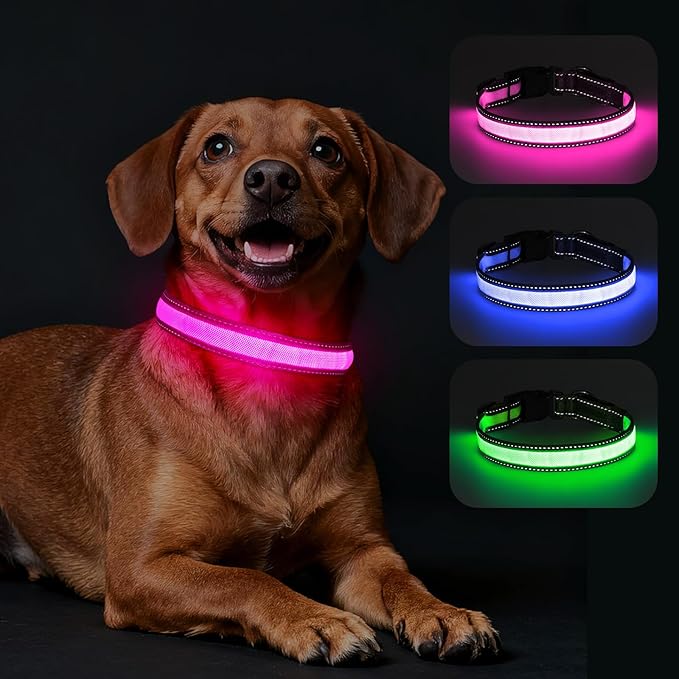 Dolitego LED Dog Collar USB Rechargeable - Light Up Dog Collar Safety Pet Collars with Lights for Night Walking,Camping (Pink, S)