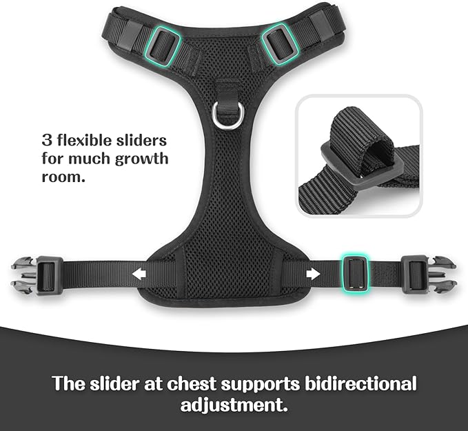 No Pull Dog Harness for Small Medium Large Dogs - Adjustable 2 Layer Mesh Dog Vest with Dual Clip, Escape Proof, Quick Release, Lightweight Breathable Mesh for Walking Hiking (Black,S)