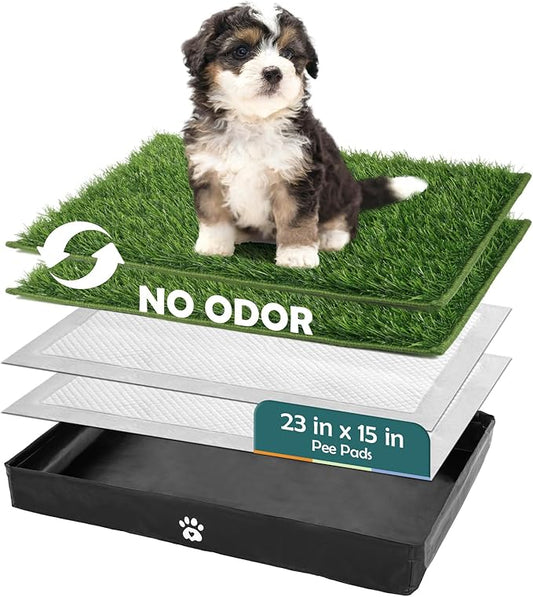 MEEXPAWS Dog Grass Pad with Tray Foldable Dog Litter Box, Small Pee Pad Holder Foldable Liner Base High Side with Odor Free Artificial Grass for Puppy Potty Training Balcony, 2 PCS Disposable Pee Pads