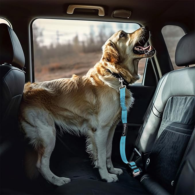 IBWell Dog Seat Belt with Elastic Bungee Leash, Car Seat Belt for Dogs (Grey, 1PCS-27.6")
