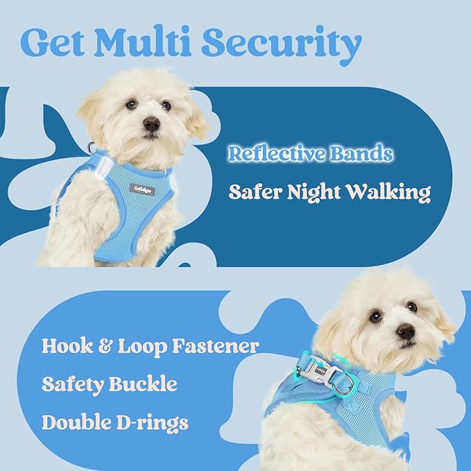 rabbitgoo Small Dog Harness, Step-in Soft Mesh Puppy Vest with Safety Buckle, Breathable Reflective Pet Harness for Small Sized Dogs, Blue M