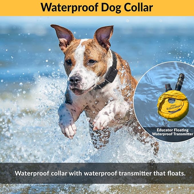 E-Collar – Educator ET-300-1/2 Mile Waterproof Remote Dog Training Collar Includes Premium Finger Clicker Trainer, 100 Programmable Levels + Vibration + Light + Sound, Black