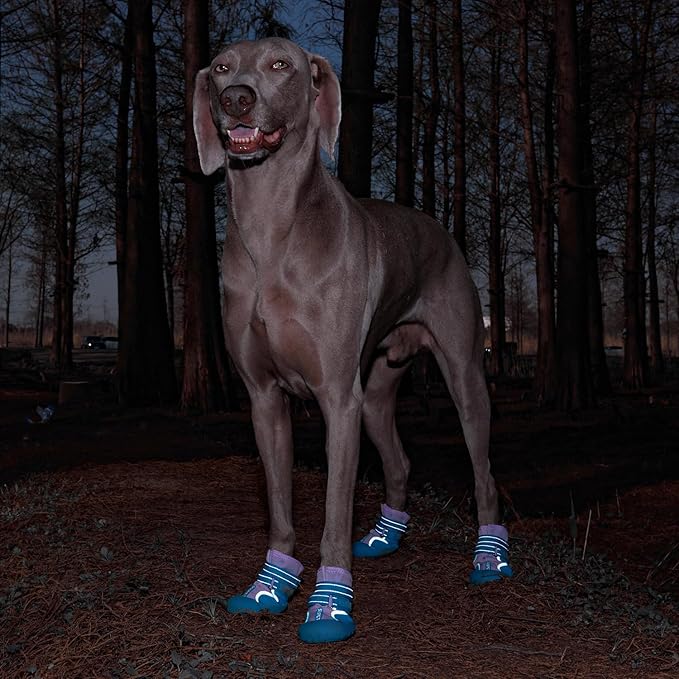 Dog Shoes, Waterproof Dog Boots & Paw Protectors with Anti-Slip Sole, 4pcs/Set Pet Dog Booties, Reflective Dog Shoes for Small Medium Large, Winter Snowy Summer Hot Pavement (Blue, 8# (2XL))