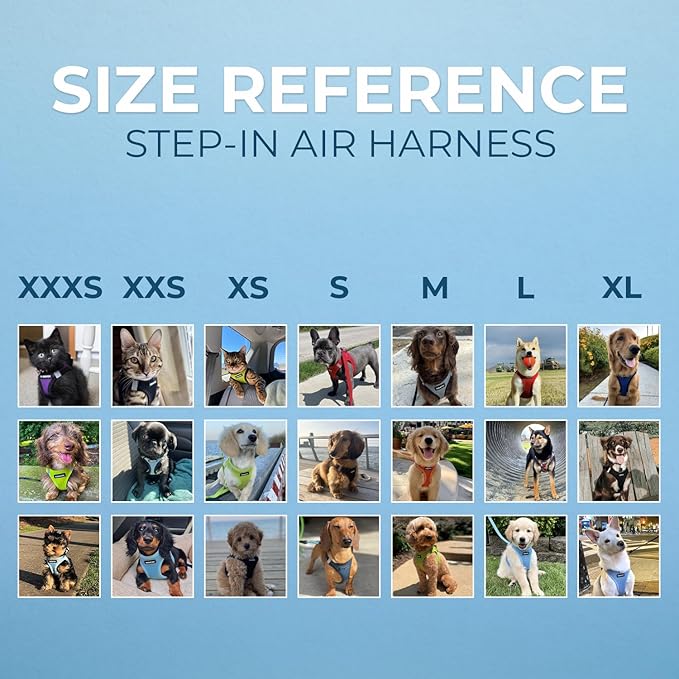 Best Pet Supplies Voyager Step-in Air Harness - All Weather Mesh, Reflective, No Pull Harness for Dogs, Cats - Secure with Hook & Loop Fastener, Buckle, Double D-Rings - Baby Blue/Black Trim, XXXS