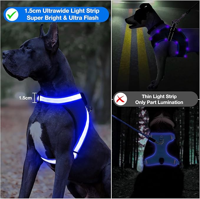 ChalkLit Light Up Dog Harness, No Pull Led Dog Harness Glow-in-The-Dark for Night Walking, USB Rechargeable Lighted Safety Vest for Medium Large Dogs, Adjustable Soft Mesh Fully Illuminated (Blue, M)