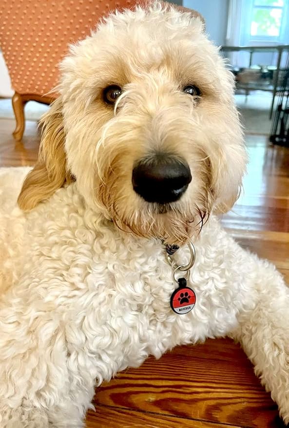 LYP Original Soundless Pet ID Tags | Custom Dog Tags Personalized for Pets | Durable Silicone Deep Engraved Dog Tag | No More Jingling | Red Paw