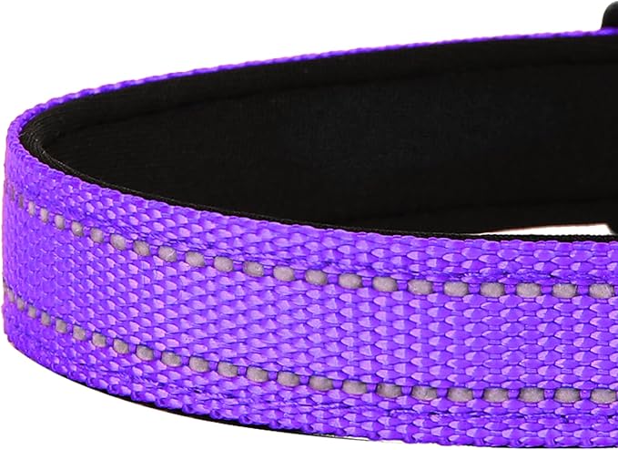Reflective Dog Collar, Adjustable Soft Neoprene Padded Nylon Pet Collars with Buckle for Large Dogs,L, Purple