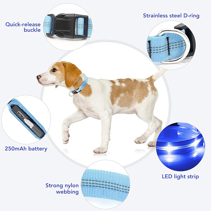 Weesiber Light Up Dog Collars - Rechargeable LED Collar - Reflective Adjustable Dog Lights for Night Walking (Blue, Medium)